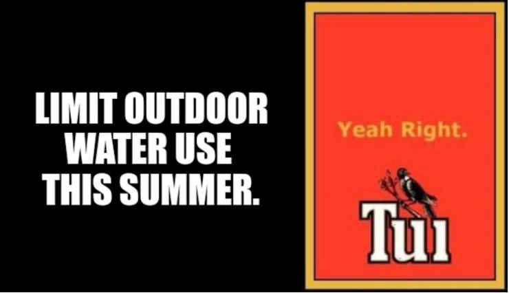 Limit outdoor water use this summer. Yeah, right!